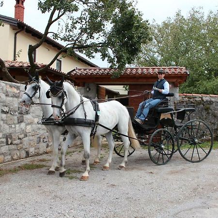 Country House Lokev Guest House Exterior foto